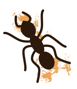 ant smasher animation